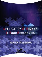 Appication Of Enzyme In Food Processing pps
