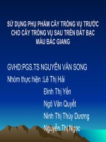 ĐỀ TÀI : SỬ DỤNG PHỤ PHẨM CÂY TRỒNG VỤ TRƯỚC CHO CÂY TRỒNG VỤ SAU TRÊN ĐẤT BẠC MÀU BẮC GIANG doc