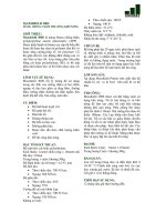 MÀNG CHỐNG THẤM THI CÔNG KHÒ NÓNG pot