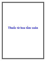 Thuốc từ hoa tầm xuân potx