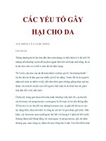 Các yếu tố gây hại cho da tác động đến cuộc sống docx