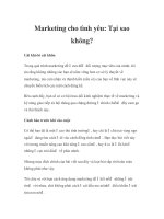 Marketing cho tình yêu: Tại sao không? pdf