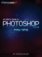 An ldiot''''s guide to photoshop pptx