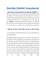 Hoạt động “blindfold” trong giảng dạy doc