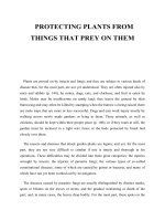 PROTECTING PLANTS FROM THINGS THAT PREY ON THEM ppt