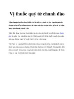 Vị thuốc quý từ chanh đào ppsx