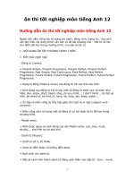 Ôn thi Tốt nghiệp PTTH Tiếng Anh - 2010