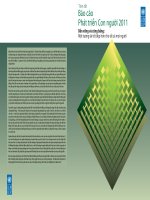 BÁO CÁO PHÁT TRIỂN CON NGƯỜI 2011 doc