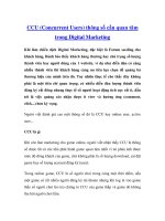 CCU (Concurrent Users) thông số cần quan tâm trong Digital Marketing pptx