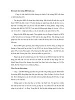 Tình hình Bất Động Sản pdf