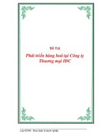 Phát triển hàng hoá tại Công ty Thương mại ppsx