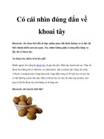 Có cái nhìn đúng đắn về khoai tây potx