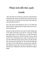 Phân tích đối thủ cạnh tranh pot