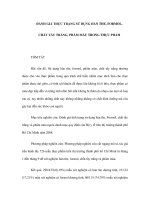 đánh giá thực trạng sử dụng hàn the, formol,chất tẩy trắng, phẩm màu trong thực phẩm