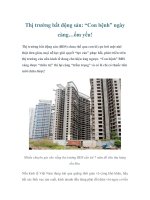 Thị trường bất động sản: “Con bệnh” ngày càng…ốm yếu! pdf