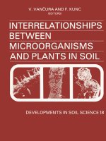 INTERRELATIONSHIPS BETWEEN MICROORGANISMS AND PLANTS IN SOIL doc