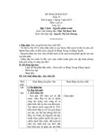 trinh nguyen phan tranh- lich su 4