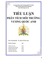 Đề Tài: Phân tích môi trường Vương Quốc Anh potx