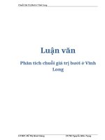 Luận văn: Phân tích chuỗi giá trị bưởi ở Vĩnh Long pot