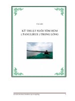 bài báo cáo  kỹ thuật nuôi tôm hùm