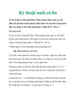 Kỹ thuật nuôi cá lóc pdf