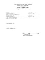 mẫu đơn xin li hôn