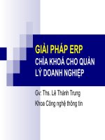 GIẢI PHÁP ERP CHÌA KHOÁ CHO QUẢN LÝ DOANH NGHIỆP pot