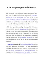 Cẩm nang cho người muốn thôi việc pot