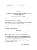 Quyết định số 25/2012/QĐ-UBND ppsx