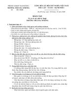 Bao cao thanh tra THCS Mau 2