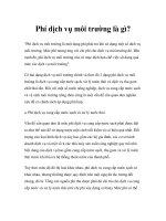 Phí dịch vụ môi trường là gì? pptx