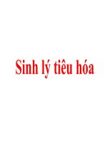 BÀI GIẢNG SINH LÝ - Học Phần I - Tiêu Hóa docx