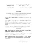 Quyết dịnh 10/2012/QĐ-UBND ppsx