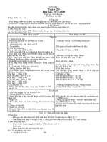 LỚP 3 TUẦN 29