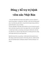 Đông y hỗ trợ trị bệnh viêm não Nhật Bản pps