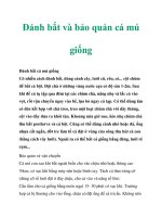 Đánh bắt và bảo quản cá mú giống docx