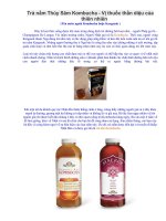 Trà nấm Thủy Sâm Kombucha docx