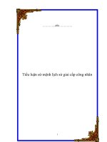 tiểu luận sứ mệnh lịch sử giai cấp công nhân