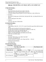 GA Sinh 9 tiết 42 (chuẩn)