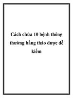 Cách chữa 10 bệnh thông thường bằng thảo dược dễ kiếm ppt