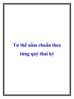 Tư thế nằm chuẩn theo từng quý thai kỳ potx