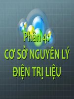 Phần 4: CƠ SỞ NGUYÊN LÝ ĐIỆN TRỊ LIỆU doc
