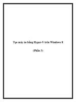 Tạo máy ảo bằng Hyper-V trên Windows 8 (Phần 3) pot