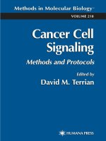 Cancer Cell Signaling Methods and Protocols potx