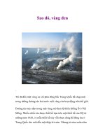 Sao đỏ, vàng đen ppt