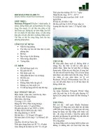 ROCKMAX POLYGARD V3 MÀNG CHỐNG THẤM POLYURETHANE doc