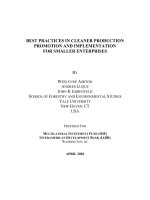 BEST PRACTICES IN CLEANER PRODUCTION PROMOTION AND IMPLEMENTATION FOR SMALLER ENTERPRISES pptx