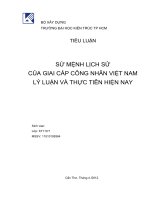 Tiểu luận: SỨ MỆNH LỊCH SỬ CỦA GIAI CẤP CÔNG NHÂN VIỆT NAM LÝ LUẬN VÀ THỰC TIỄN HIỆN NAY pptx