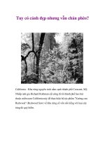 Tuy có cảnh đẹp nhưng vẫn chán phèo? pdf