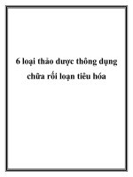 6 loại thảo dược thông dụng chữa rối loạn tiêu hóa pdf